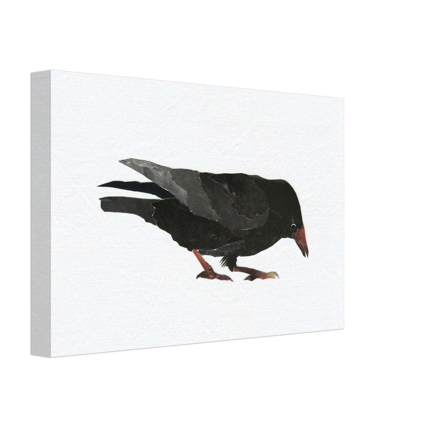 Keen Interest in Bugs Crow