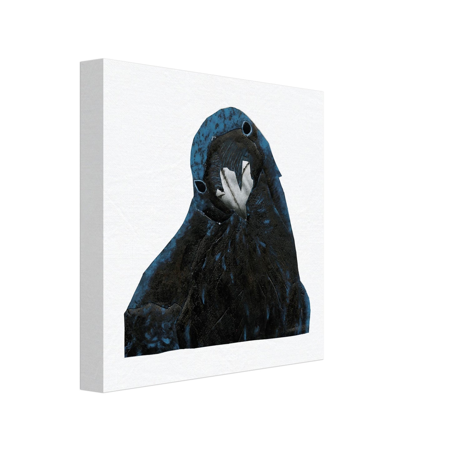 Sympathy Crow