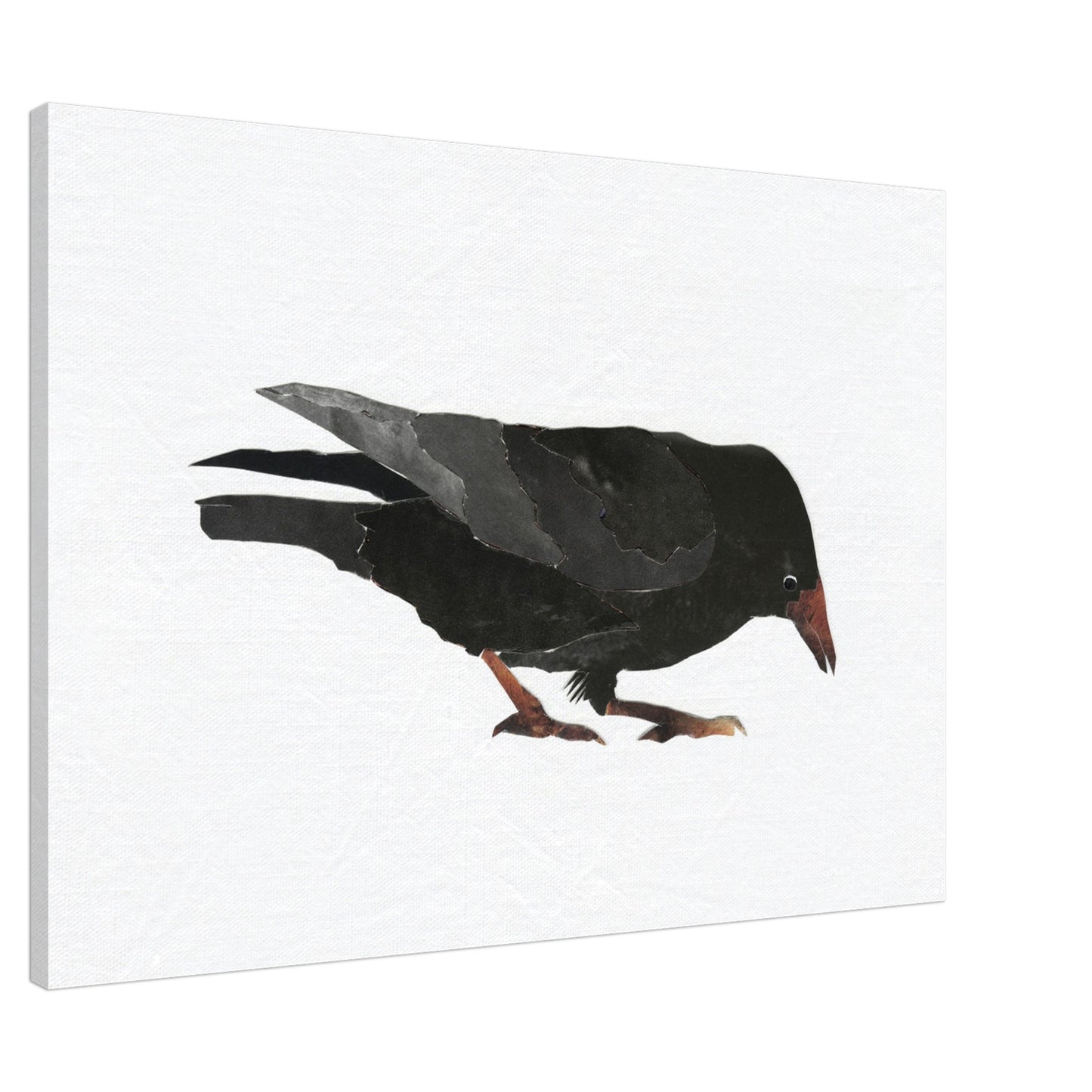 Keen Interest in Bugs Crow