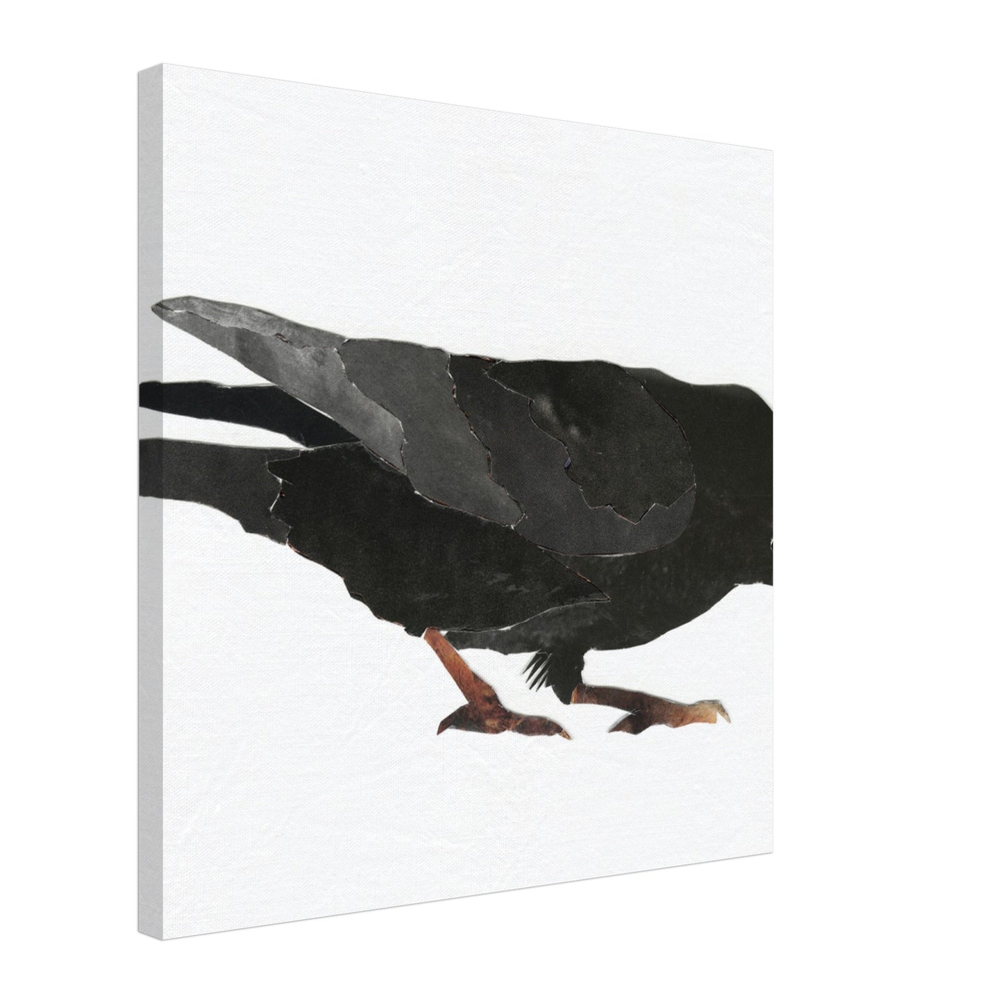 Keen Interest in Bugs Crow