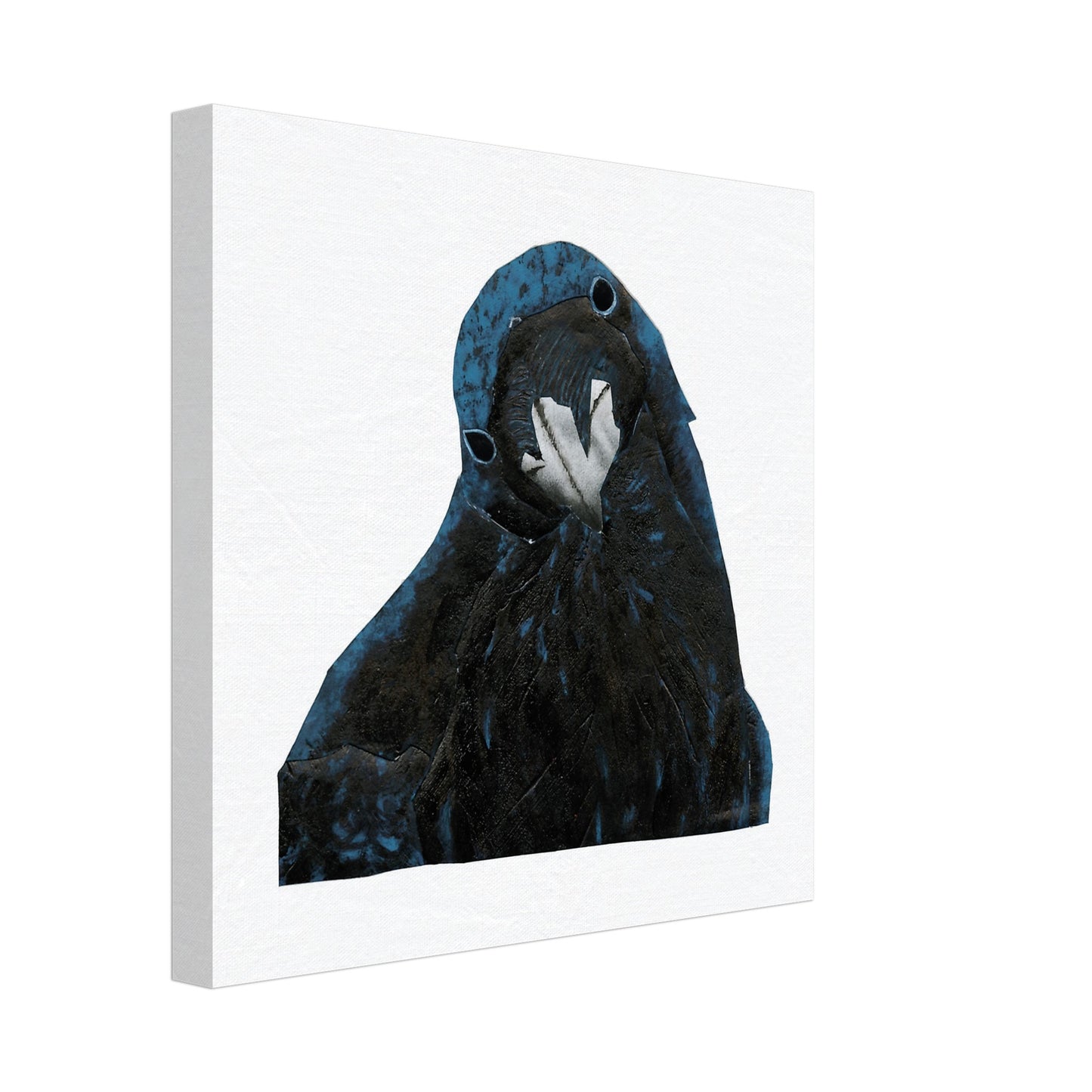 Sympathy Crow