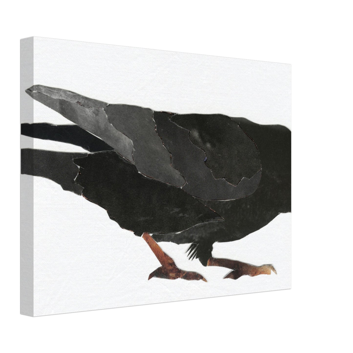 Keen Interest in Bugs Crow