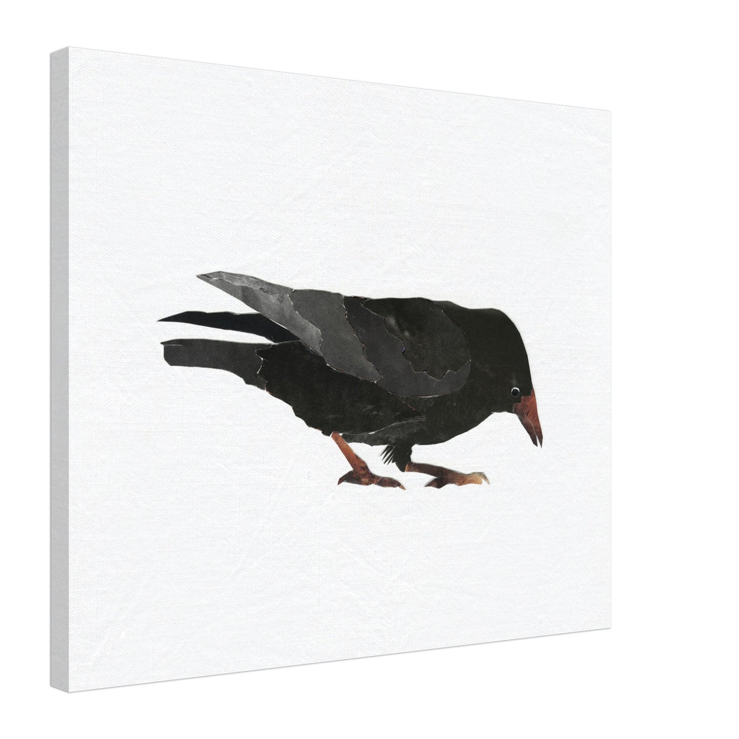 Keen Interest in Bugs Crow