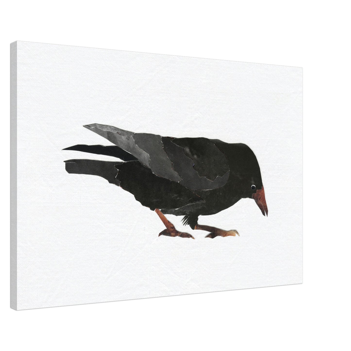 Keen Interest in Bugs Crow