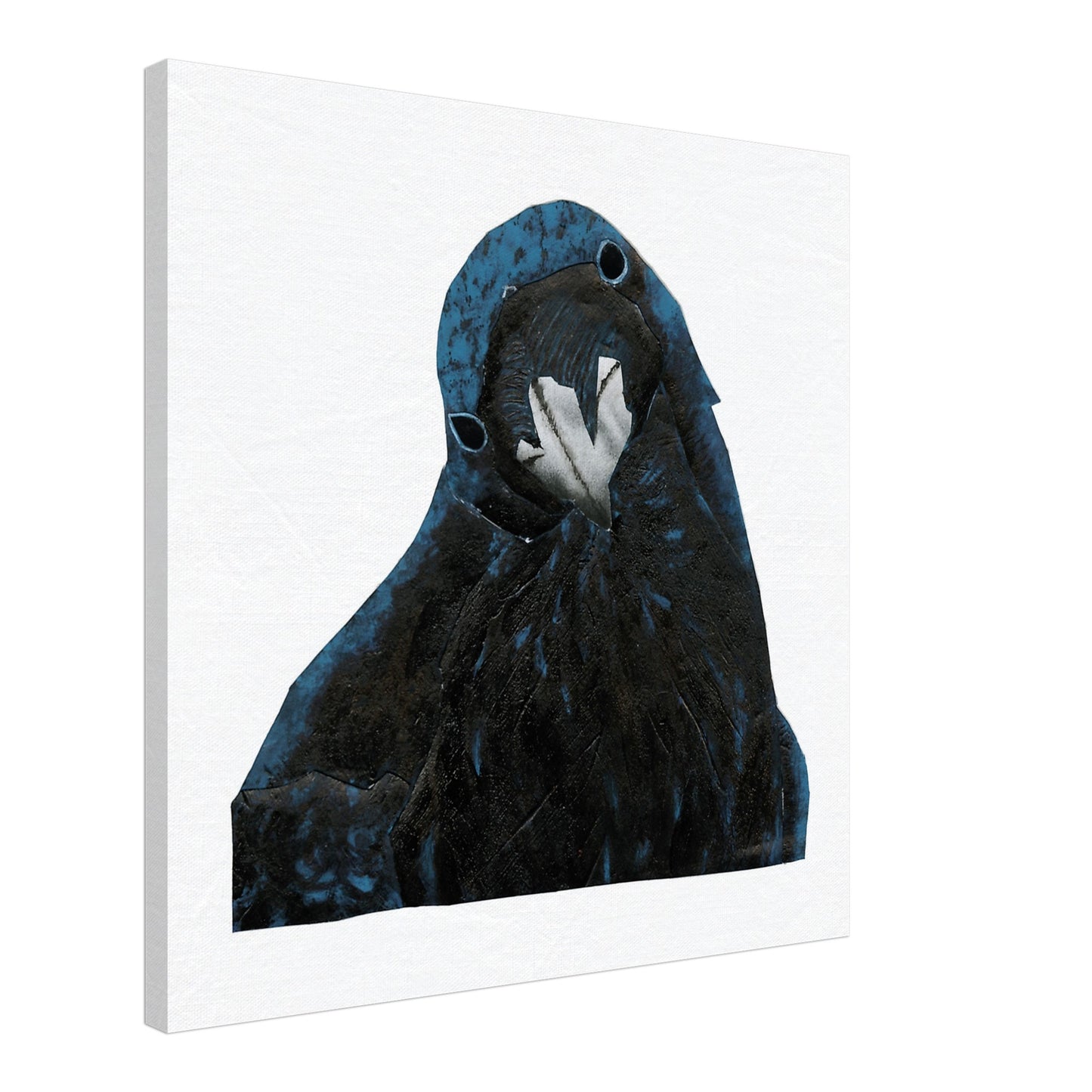 Sympathy Crow