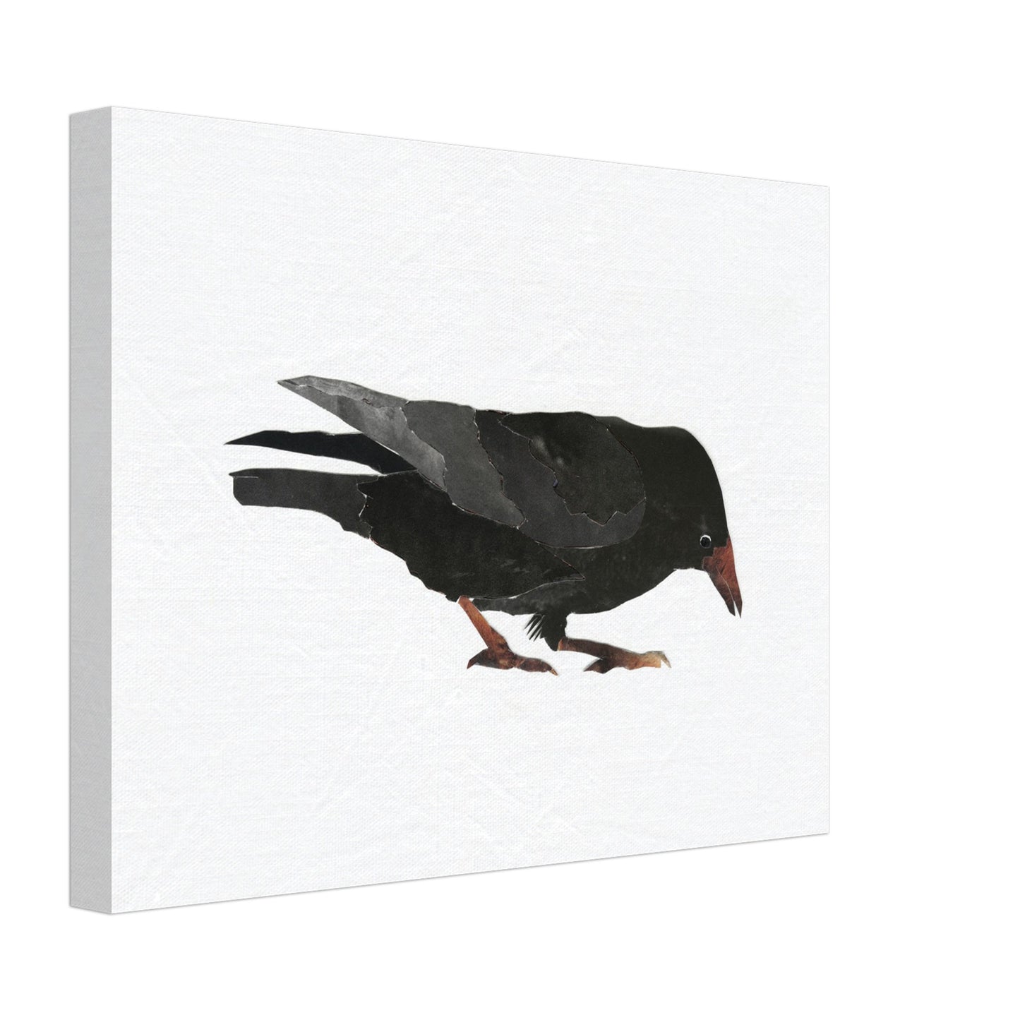 Keen Interest in Bugs Crow